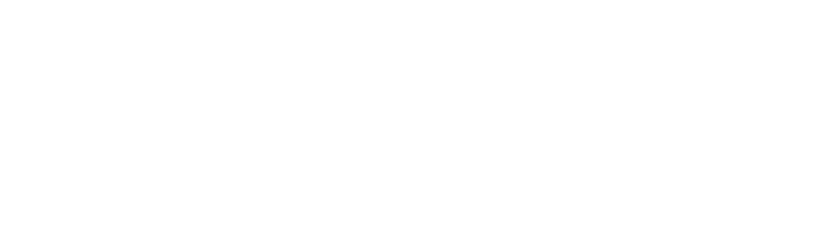 Logo of nexoft company